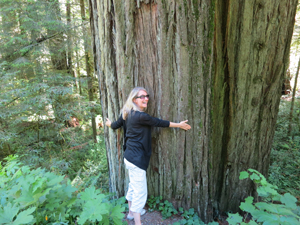 Sunna, treehugger. Sunna, treehugger.